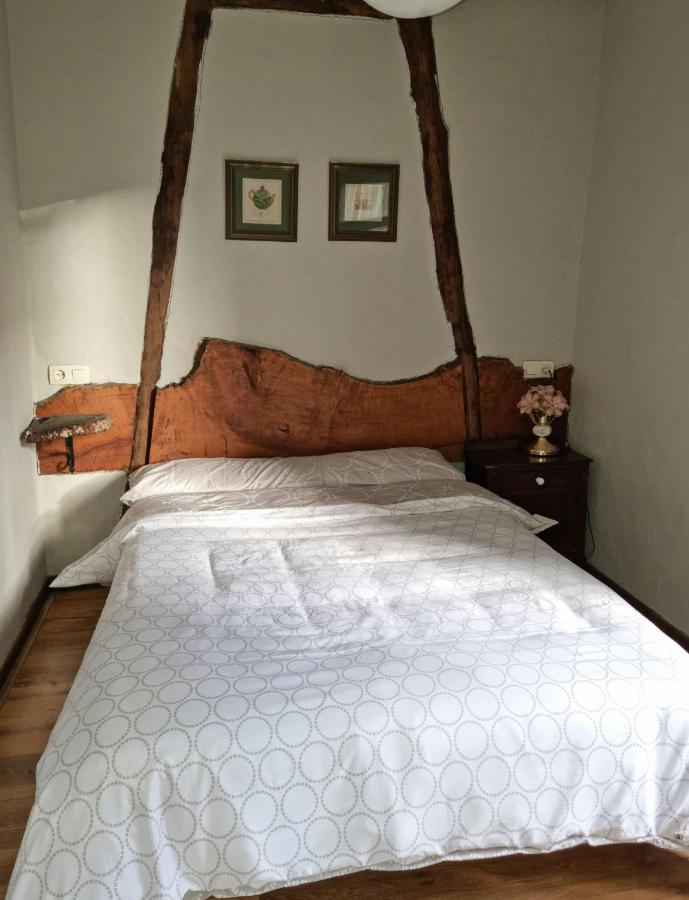 Villa Corias Casona Junto Al Narcea Extérieur photo