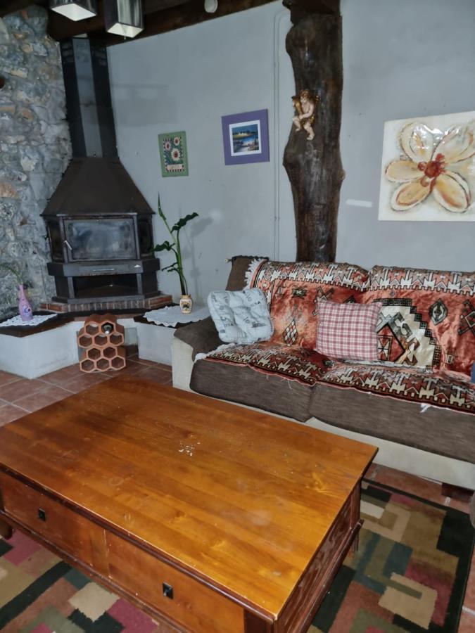 Villa Corias Casona Junto Al Narcea Extérieur photo